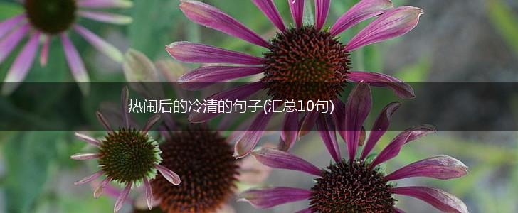 热闹后的冷清的句子(汇总10句),第1张
