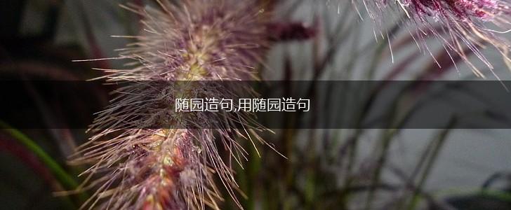 随园造句,用随园造句,第1张 随园造句,用随园造句,第1张