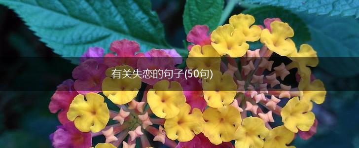 有关失恋的句子(50句),第1张