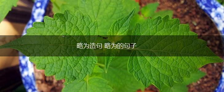 略为造句 略为的句子,第1张 略为造句 略为的句子,第1张