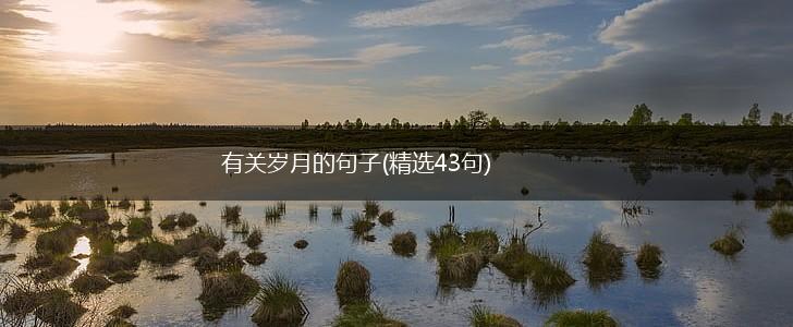 有关岁月的句子(精选43句),第1张