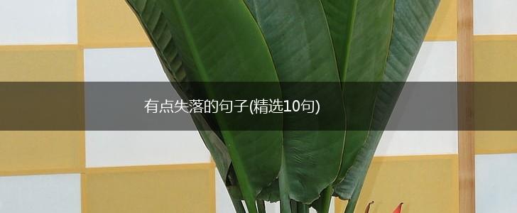有点失落的句子(精选10句),第1张