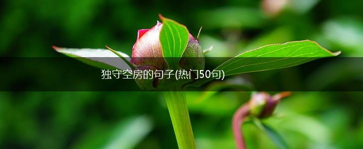 独守空房的句子(热门50句),第1张