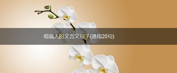暗讽人的文言文句子(通用20句),第1张
