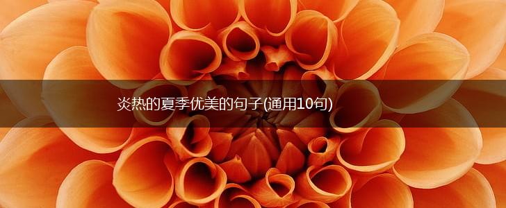 炎热的夏季优美的句子(通用10句),第1张
