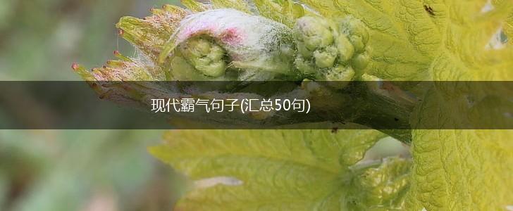 现代霸气句子(汇总50句),第1张