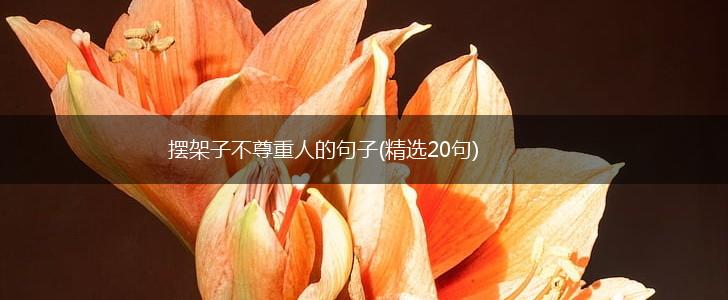 摆架子不尊重人的句子(精选20句),第1张