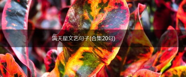 满天星文艺句子(合集20句),第1张