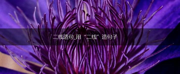 二线造句_用“二线”造句子,第1张 二线造句_用“二线”造句子,第1张