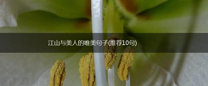 江山与美人的唯美句子(推荐10句),第1张