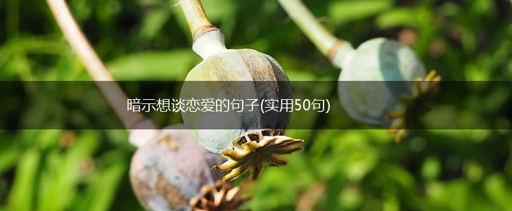 暗示想谈恋爱的句子(实用50句),第1张