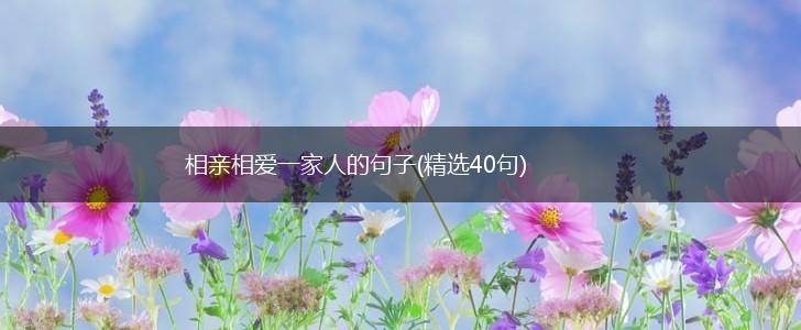 相亲相爱一家人的句子(精选40句),第1张