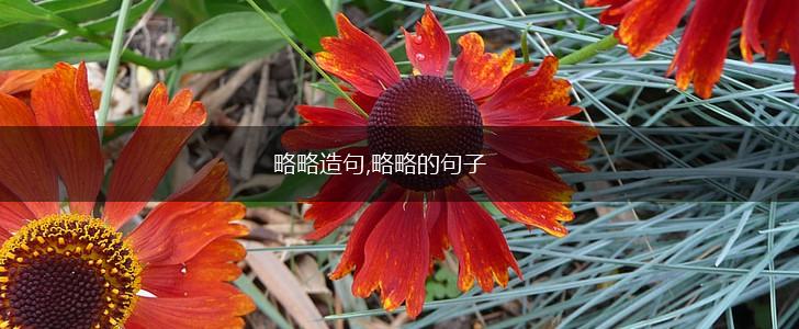 略略造句,略略的句子,第1张 略略造句,略略的句子,第1张