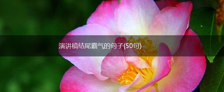 演讲稿结尾霸气的句子(50句),第1张