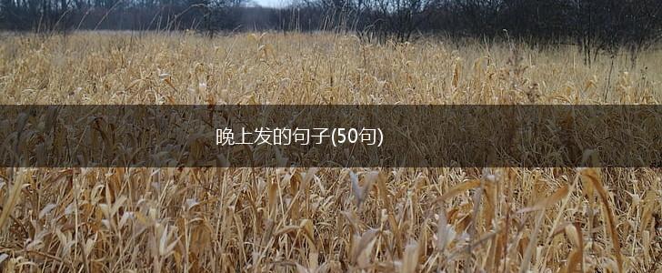 晚上发的句子(50句),第1张