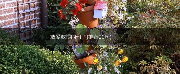 敢爱敢恨的句子(推荐20句),第1张