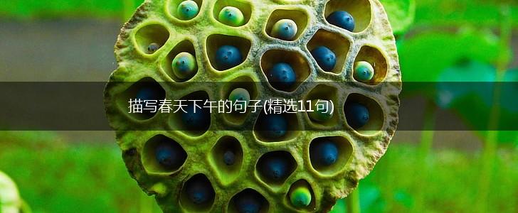 描写春天下午的句子(精选11句),第1张
