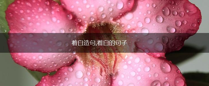 着白造句,着白的句子,第1张 着白造句,着白的句子,第1张