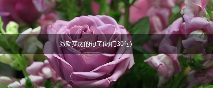 激励买房的句子(热门30句),第1张