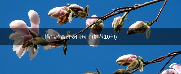 描写感冒难受的句子(推荐10句),第1张