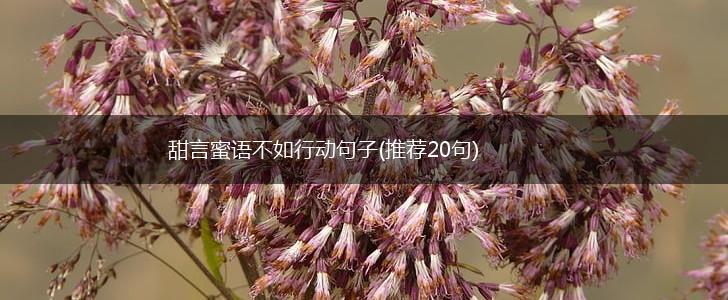 甜言蜜语不如行动句子(推荐20句),第1张