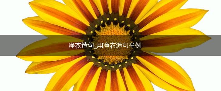 净衣造句_用净衣造句举例,第1张