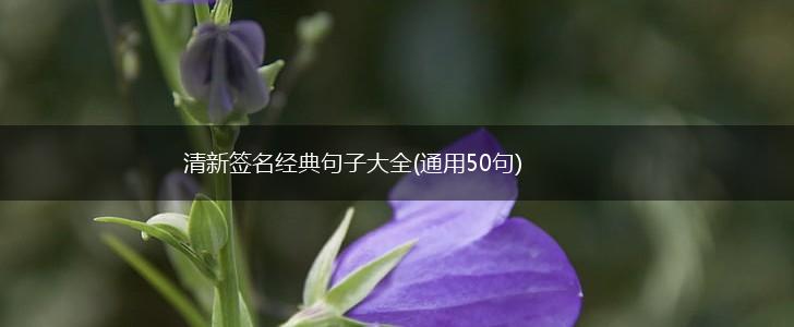 清新签名经典句子大全(通用50句),第1张