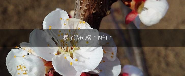 楞子造句,楞子的句子,第1张
