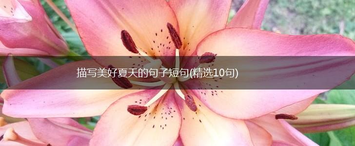 描写美好夏天的句子短句(精选10句),第1张