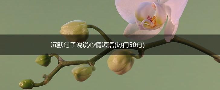 沉默句子说说心情短语(热门50句),第1张