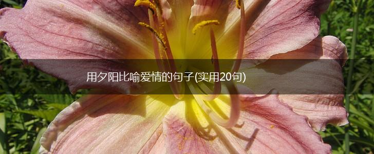 用夕阳比喻爱情的句子(实用20句),第1张