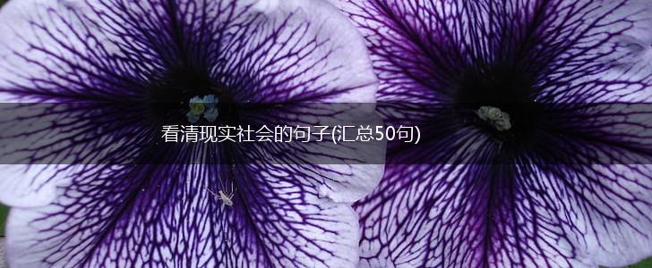 看清现实社会的句子(汇总50句),第1张