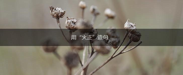 用“火正”造句,第1张 用“火正”造句,第1张