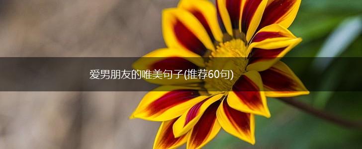 爱男朋友的唯美句子(推荐60句),第1张