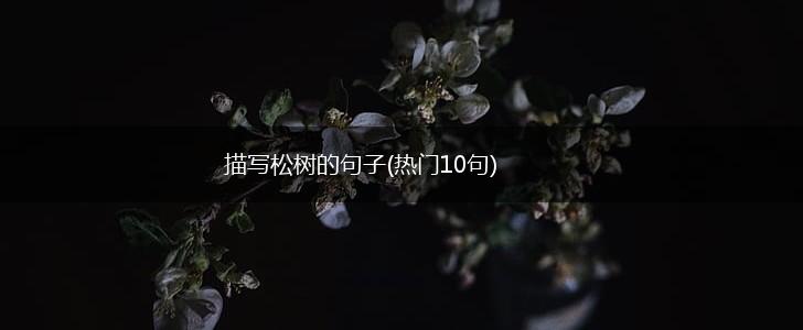 描写松树的句子(热门10句),第1张