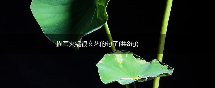 描写火锅很文艺的句子(共8句),第1张