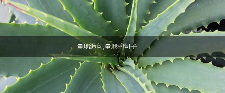 量地造句,量地的句子,第1张