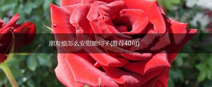 朋友烦怎么安慰她句子(推荐40句),第1张