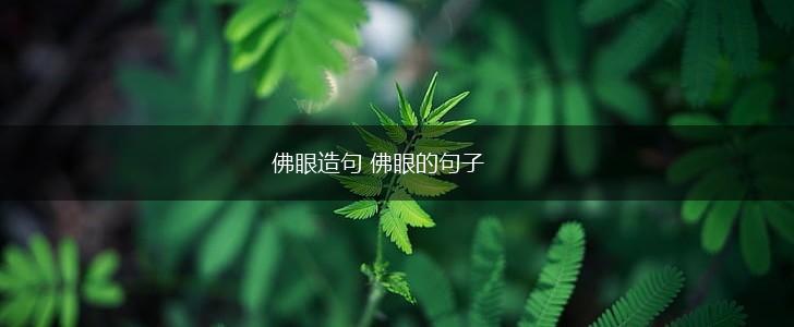 佛眼造句 佛眼的句子,第1张