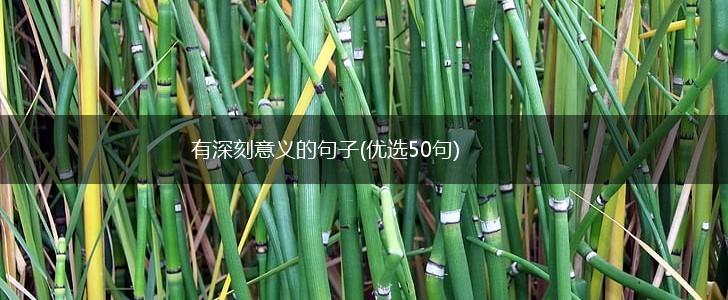 有深刻意义的句子(优选50句),第1张