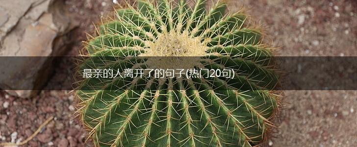 最亲的人离开了的句子(热门20句),第1张