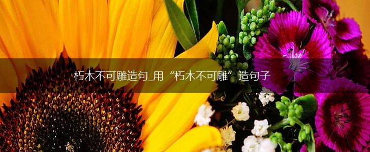 朽木不可雕造句_用“朽木不可雕”造句子,第1张