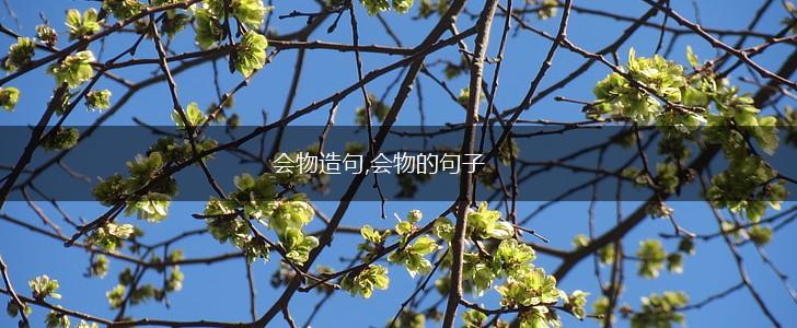 会物造句,会物的句子,第1张