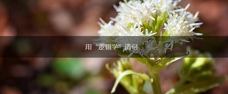 用“逻辑学”造句,第1张