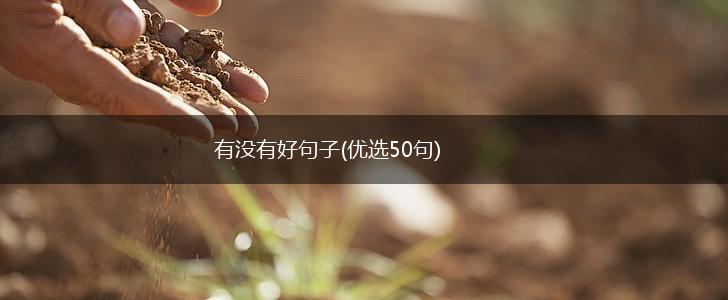 有没有好句子(优选50句),第1张