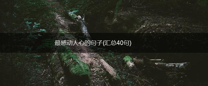 最感动人心的句子(汇总40句),第1张