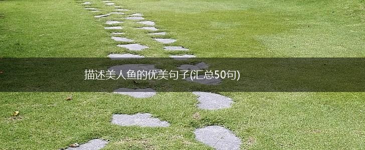 描述美人鱼的优美句子(汇总50句),第1张
