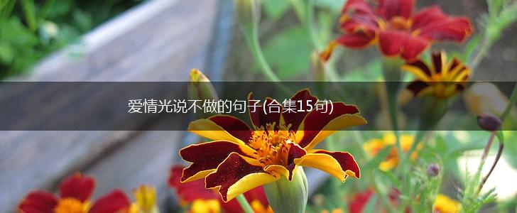 爱情光说不做的句子(合集15句),第1张