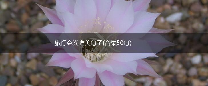 旅行意义唯美句子(合集50句),第1张