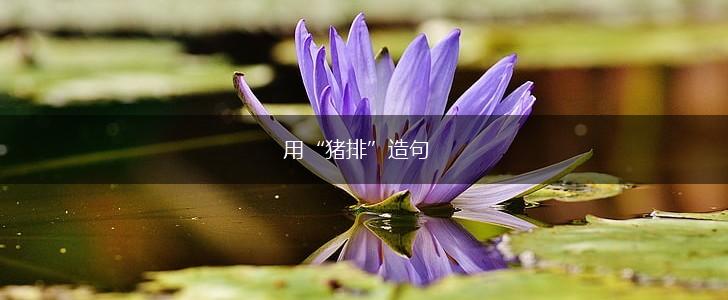 用“猪排”造句,第1张 用“猪排”造句,第1张
